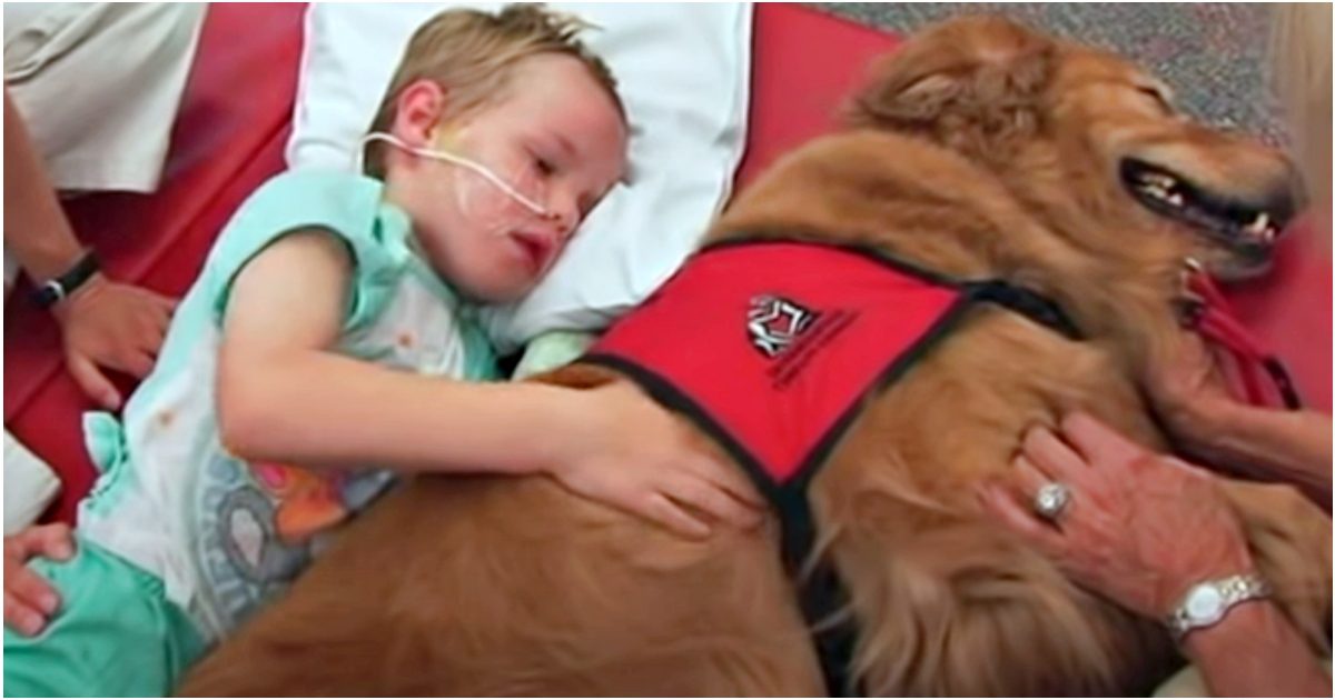 Boy With Brain Injury Won’t Wake Up, Family Says ‘Goodbye’ As Dog Lay On Top Of Him