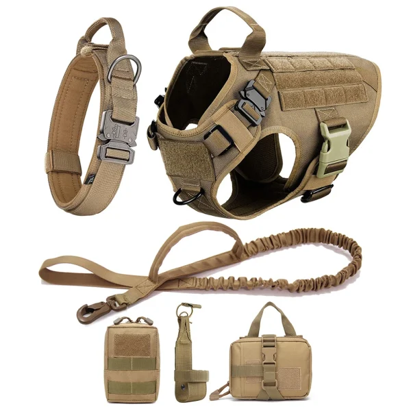 Harness and leash set for large walking dogs