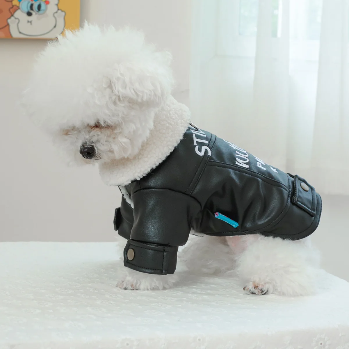 Waterproof Dog Coat Snow Winter Leather Outfit For Small Medium Animal Waterproof Dog Coat Snow Winter Leather Outfit For Small Medium Animal