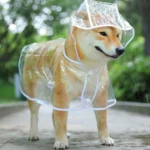 Puppy Raincoat Waterproof Pet Rain Small Medium Dogs